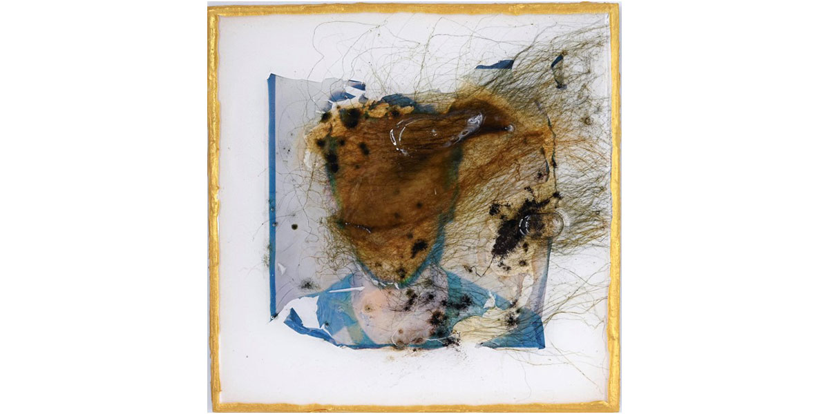Moldy spores art piece from artist, Selin Balci.