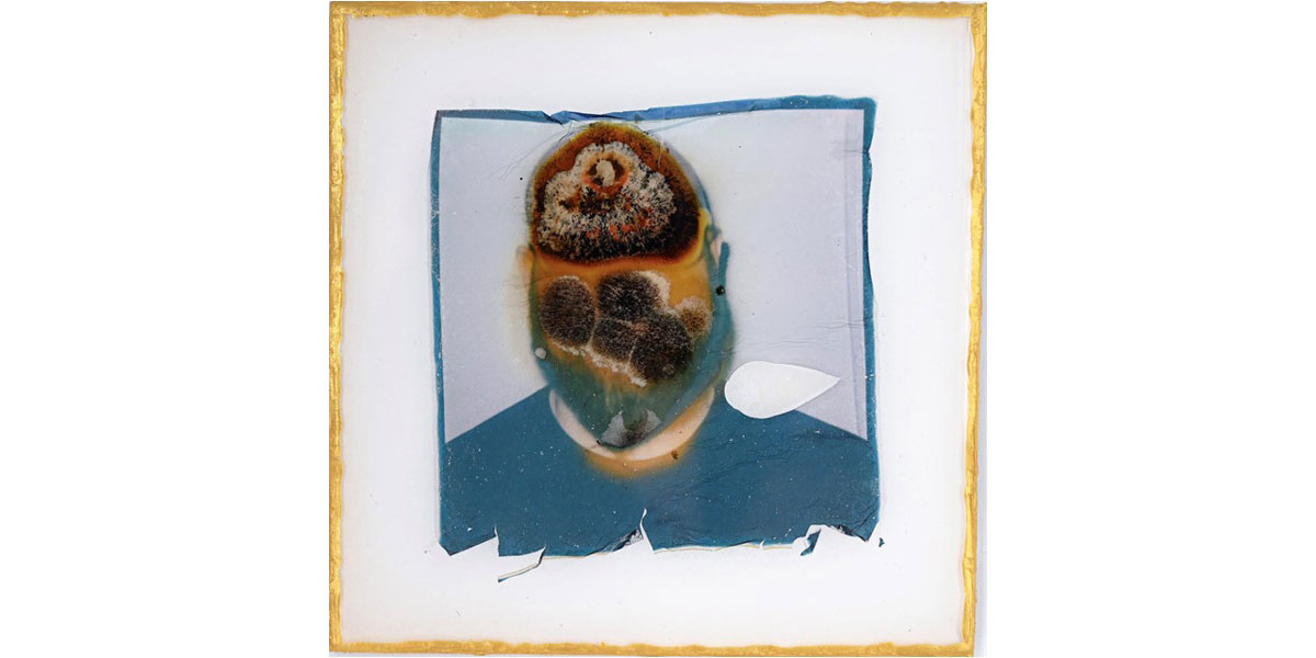 Moldy spores art piece from artist, Selin Balci.