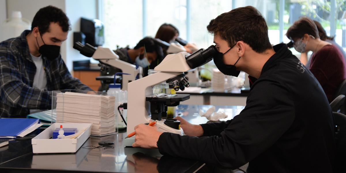 Student inspecting object in Biology class.