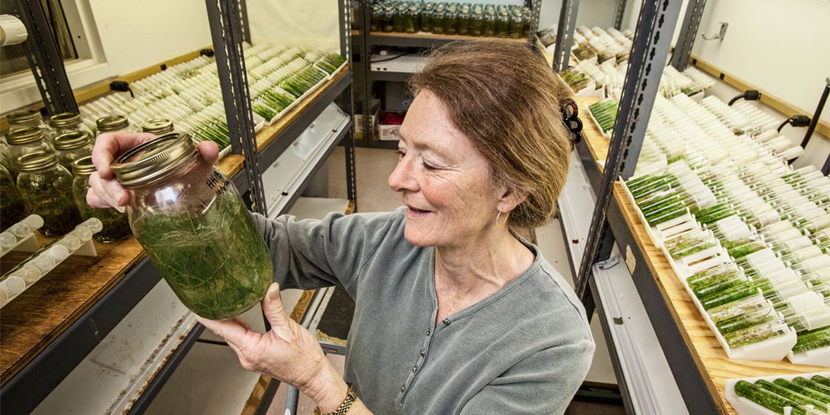 Woman holding up a mason jar with a sample