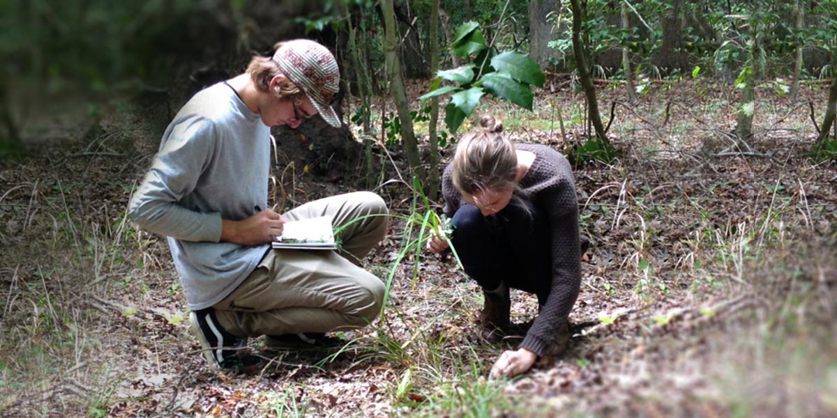 students conducting plant survey